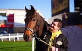 Padraig Roche with Brazil, the evening before their Boodles Handicap Hurdle win in Cheltenham 2022