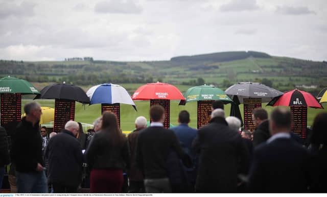 Where to get the best odds to bet on Punchestown 2022?