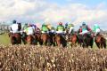 OPINION: Punchestown should be a shorter festival to boost quality