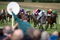 'Comeback' Punchestown Festival to welcome 135k punters and inject €100m into Kildare economy