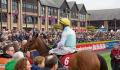 PUNCHESTOWN TIPS: All the best bets for Day 5 - Saturday, April 30