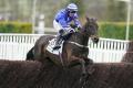 PUNCHESTOWN TIPS: All the best bets for Day 1 - Tuesday, April 25