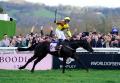 PUNCHESTOWN TIPS: All the best bets for Day 2 - Wednesday, April 26