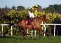 PUNCHESTOWN TIPS: All the best bets for Day 4 - Friday, April 28
