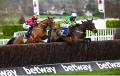 LIVE: Punchestown 2024 results and tips live from the course