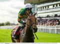 Punchestown tips: 20/1 Day 1 treble could line your pockets for the week