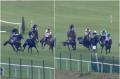 WATCH: Jockey takes nasty tumble as loose horse causes carnage at Punchestown