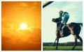 Sun set to shine on next week's Punchestown Festival as temperatures on the rise