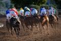 Spillane's Tower and Fact To File spearhead McManus team on opening three days