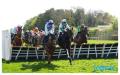 Ascending Lark swoops for Punchestown prize