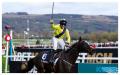 Cheltenham stars set for intriguing two-mile clash on day one on Punchestown Festival