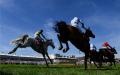 PUNCHESTOWN TIPS: All the best bets for Day 3 - Thursday, May 1