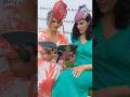 WATCH: Latest edition of Kildare Life a big hit with Punchestown racegoers