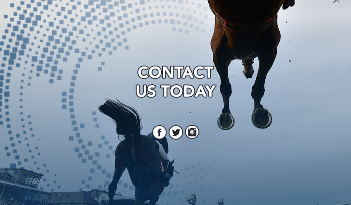 Contact Us Punchestown Live Punchestown Live