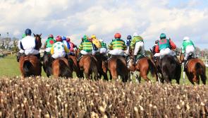 OPINION: Punchestown should be a shorter festival to boost quality TEST CONTENT - DO NOT CLONE
