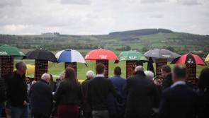 Where to get the best odds to bet on Punchestown 2022? TEST CONTENT - DO NOT CLONE