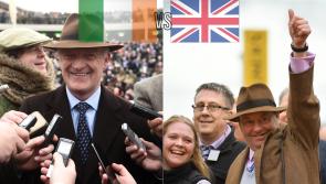 Our Irish tipster takes on British Barry with top picks for Punchestown TEST CONTENT - DO NOTE CLONE 