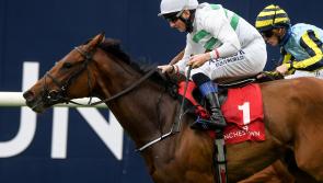 Punchestownlive Top Jockey