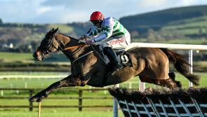 Punchestown 2022 Tips: All the best bets on Day 1 - Tuesday, April 26