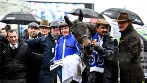 Energumene takes home the Champion Chase in Punchestown for Willie Mullins