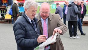 PICTURES: Out and about among the crowds at Day 2 of Punchestown 2023
