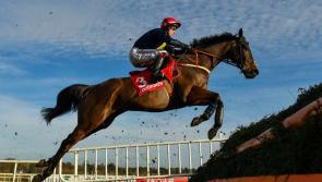 Huge shock as Fastorslow wins the Punchestown Gold Cup 2023 for Martin Brassil