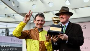 Grade 1 Entries announced for Punchestown Festival