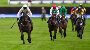 Gaelic Warrior unlikely to run at Punchestown as Willie Mullins eyes Sandown