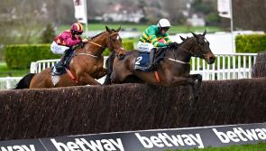 LIVE: Punchestown 2024 results and tips live from the course