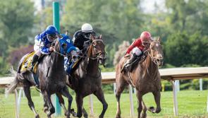 18–34-year-olds driving force behind increased horse racing attendance