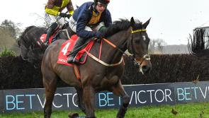 WATCH: Fastorslow shocks Galopin Des Champs to win Punchestown Gold Cup again