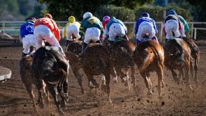 Spillane's Tower and Fact To File spearhead McManus team on opening three days of Punchestown