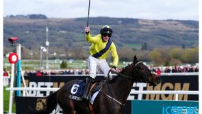 Cheltenham stars set for intriguing two-mile clash on day one of Punchestown Festival 