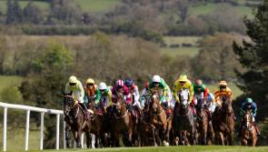 Kildare minister: Punchestown is 'highlight of sporting and social calendar' in Kildare 
