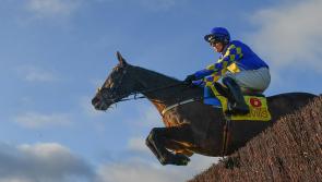 Who's in and who's out of the 2022 Punchestown Gold Cup - TEST CONTENT (DON'T CLONE)