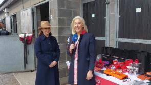 WATCH: Behind the scenes in the stable yard at Punchestown