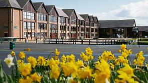 How to get to Punchestown Racecourse during the festival
