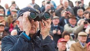 WATCH: Who the punters fancy in the big race on Day 2 at Punchestown 2022 TEST CONTENT - DO NOT CLONE 