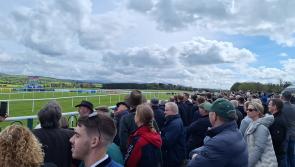 WATCH: Who backed the winner? Crowd reacts to finish of 3.05pm at Punchestown