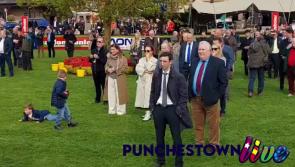  WATCH: Incredible Punchestown scenes as connections watch Fastorslow win the Gold Cup