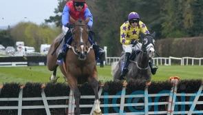 Facile Vega back on top at Punchestown and chasing beckons next season