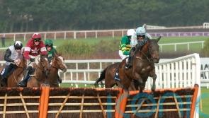 Triumph runner-up Kargese to be aimed at Punchestown after Cheltenham run