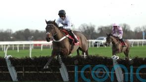 Constitution Hill could be aimed at Punchestown return after skipping Cheltenham