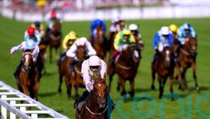 Punchestown not ruled out for Vauban as star confirmed for second Melbourne Cup