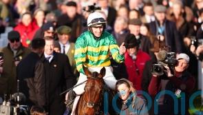 Gold Cup  hero Inothewayurthinkin's plans depend on Punchestown conditions
