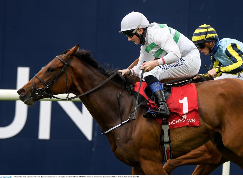 Punchestownlive Top Jockey