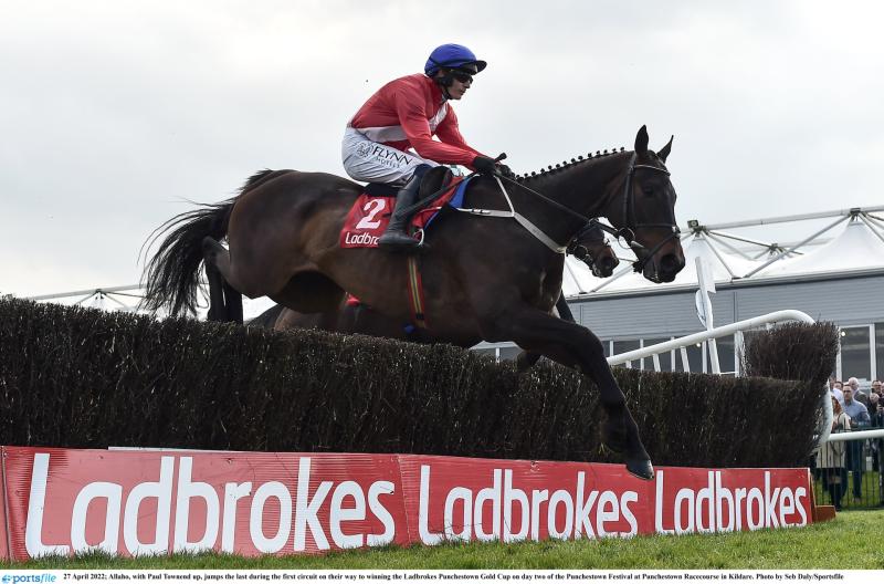 PUNCHESTOWN TIPS: All the best bets for Day 3 at Punchestown - Thursday, April 28