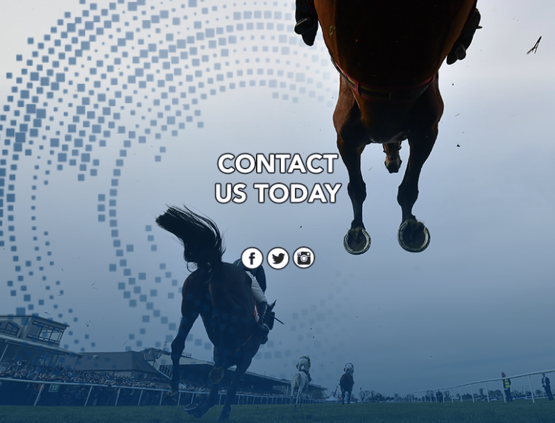 Contact Us Punchestown Live