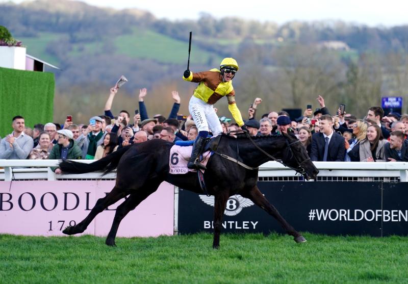 PUNCHESTOWN TIPS: All the best bets for Day 2 - Wednesday, April 26