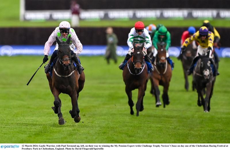 Gaelic Warrior unlikely to run at Punchestown as Willie Mullins eyes Sandown
